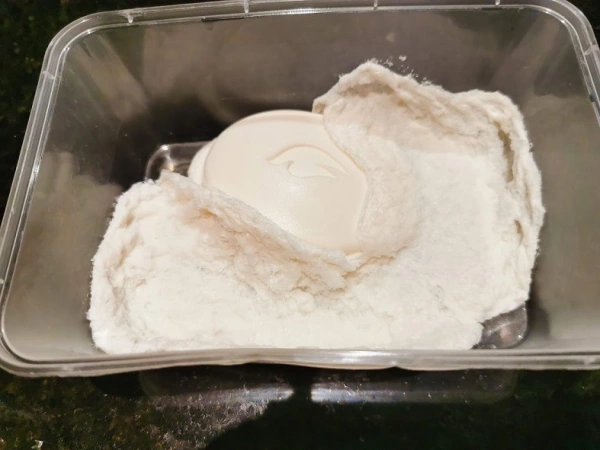 Science Experiment: What Happens When You Microwave Soap?